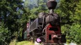Mocănița de pe valea Bistriței este propusă pentru un circuit turistic prin Oltenia