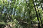 Modernizing the road to "Plaiul Fagului": 6.9 million EUR