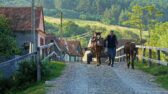 New law for the digitalization of agrotourism adopted